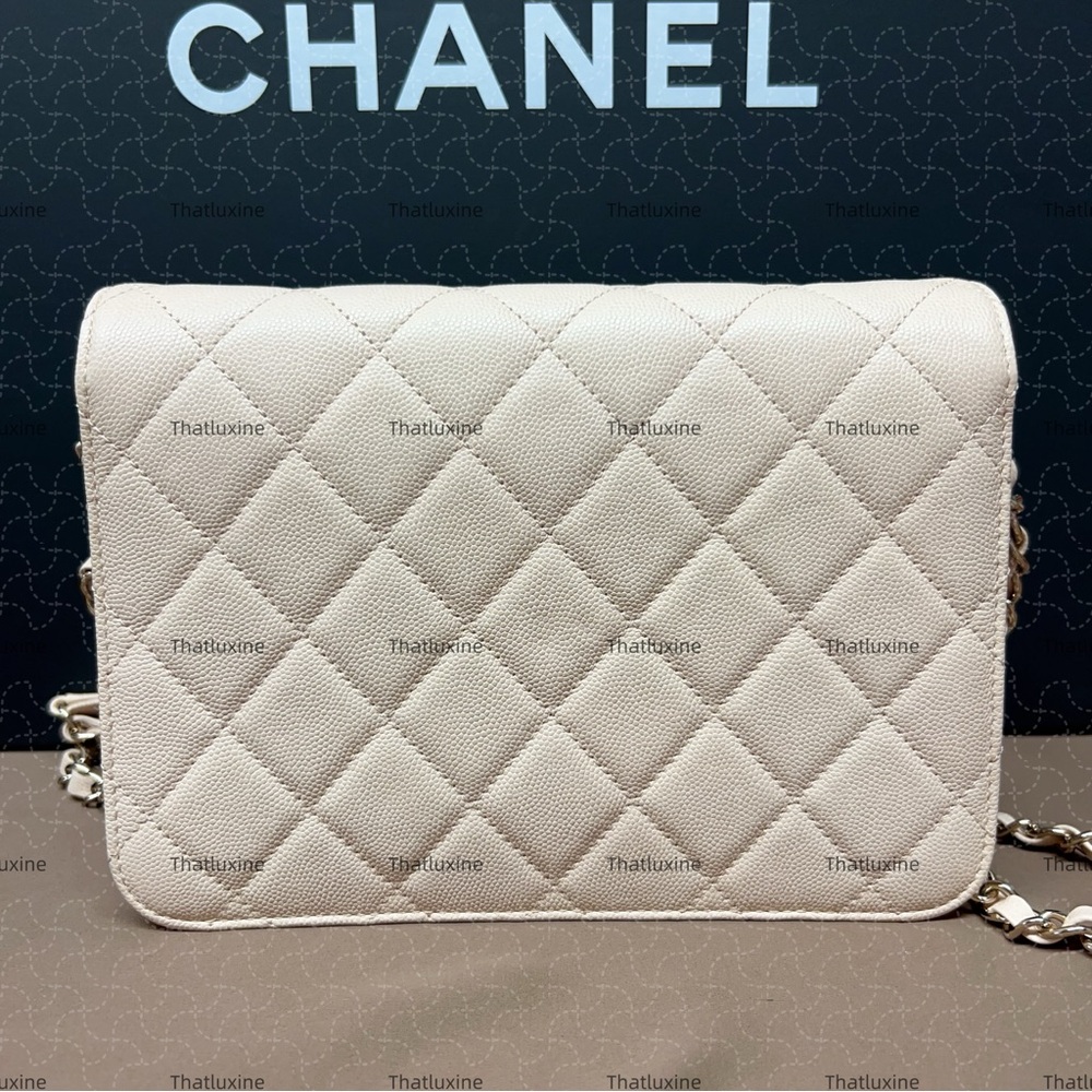 NWT Chanel Cross body Bag - Picture 2 of 4